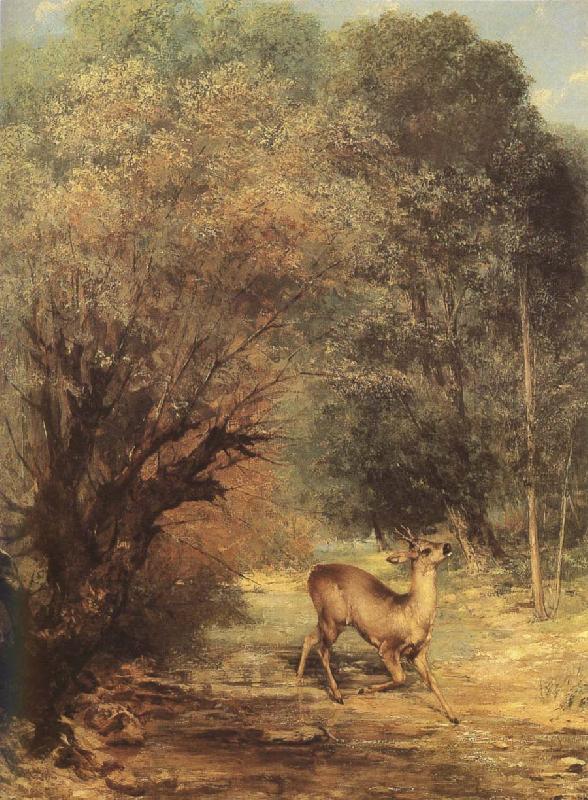 Gustave Courbet Deer oil painting picture